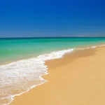 Da Rocha By Ricardo Clube Da Rocha Portimão