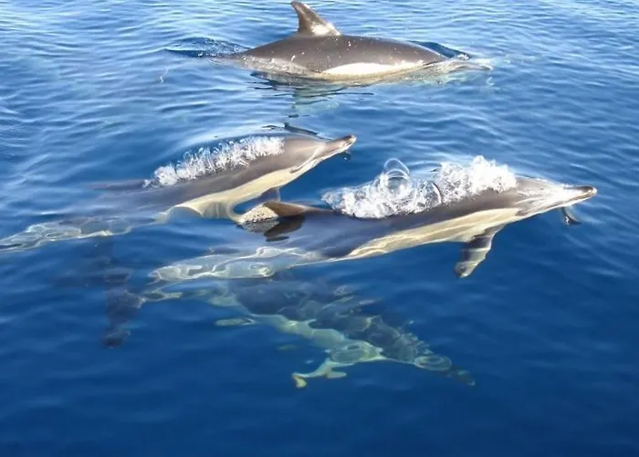 Da Rocha By Ricardo Clube Da Rocha Apartamento *