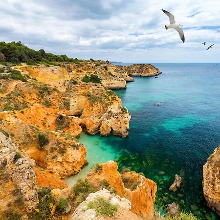 Appartement Da Rocha By Ricardo Clube Da Rocha *