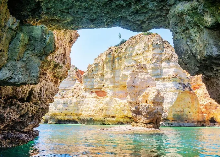 Da Rocha By Ricardo Clube Da Rocha *