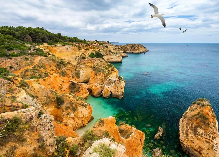 Appartamento Da Rocha By Ricardo Clube Da Rocha *