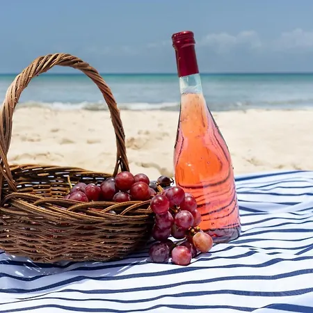 Da Rocha By Ricardo Clube Da Rocha * Portimão