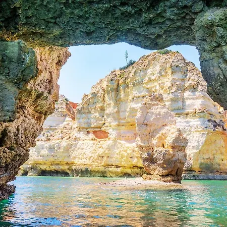 Da Rocha By Ricardo Clube Da Rocha *